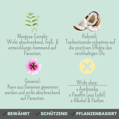 Thumbnail 3: Noms+ Zpot-on für Katzen gegen Zecken, Flöhe, Milben & Mücken