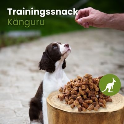 Thumbnail 3: kauartikel.com Känguru-Sticks-Trainingssnack - Hunde-Kauartikel - Hunde-Snack - Hypoallergen-Kausnack - Leckerli