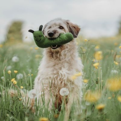 Thumbnail 4: HUNTER Hundespielzeug Florenz, Raupe 22 cm