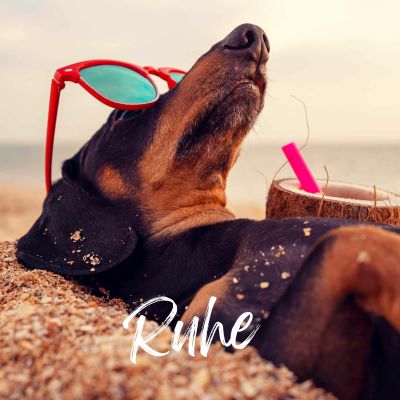 Thumbnail 16: TJURE TJURE - Relax Liquid - 5x 500 ml | Verbesserung des Wohlbefindens | Steigerung der nervlichen Belastbarkeit