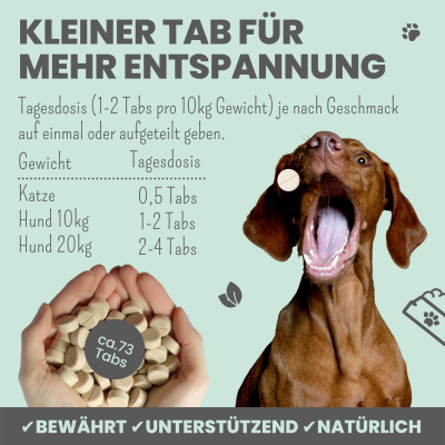 Thumbnail 1: Noms+ Wohlfühltabs für Hunde bei Stress, Angst, Unruhe und Hyperaktivität