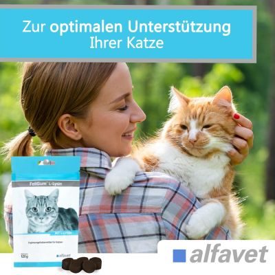 Thumbnail 2: alfavet FeliGum L-Lysin 120 g