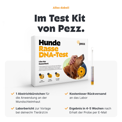 Thumbnail 5: Pezz Hunde Rassebestimmungs DNA-Test | Resseanalyse auf 1% genau
