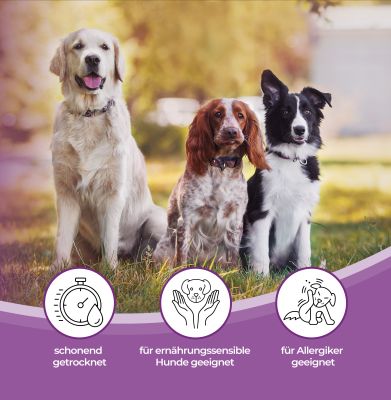 Thumbnail 3: mascota vital Ziegenhaut, Kauartikel für Hunde, 200 g