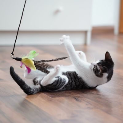 Thumbnail 4: SCHLITZOHR Ersatzfedern 5 stk. Classic