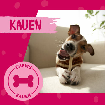 Thumbnail 2: Dokas Kaustangen mit Hühnerbrust Kausnacks für Hunde 10x 50g Multipack