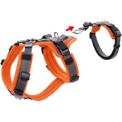Thumbnail 3: HUNTER Sicherheitsgeschirr Maldon XS, orange/grau