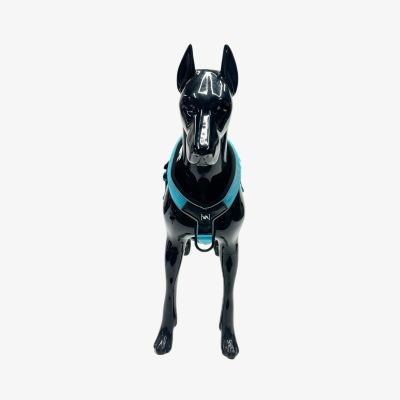 Thumbnail 3: Vitomalia VitomaliaLeichtes Y-Hundegeschirr mit Reflextionsstreifen in Türkis