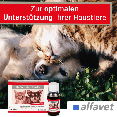 Thumbnail 5: alfavet ReConvales Cardio 3 x 90 ml