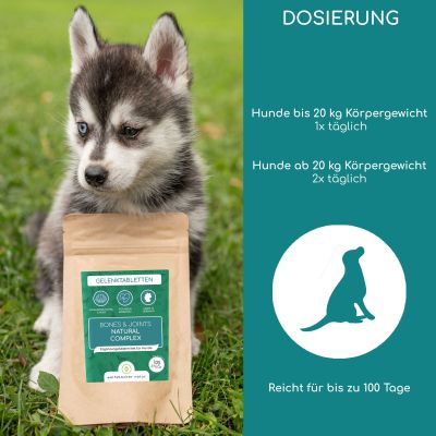 Thumbnail 2: Wolfsbacher Natur Gelenktabletten für Hunde