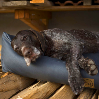 Thumbnail 4: Bettenhaus Traumhund® Orthopädisches Hundebett - Jagdlich Leder