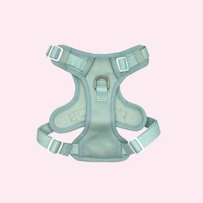 Thumbnail 6: SimplePets Alltagsheld-Geschirr in Pastel Mint