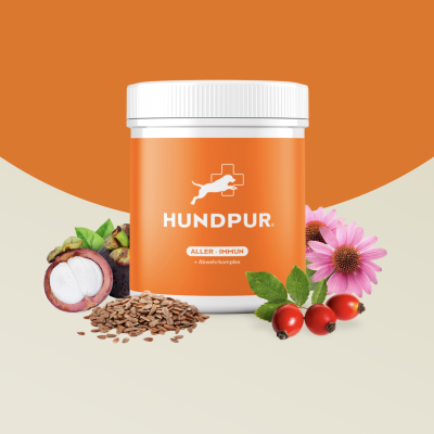 Thumbnail 3: Hundpur Aller-Immun mit Abwehr-Komplex 300 g – Multivitamin-Pellets mit Mangostan, Propolis & Kurkuma zur natürlichen Immununterstützung