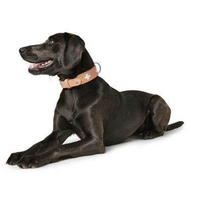 Thumbnail 6: HUNTER Halsband Swiss S-M (47), natur/beige