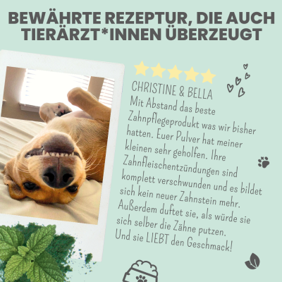Thumbnail 2: Noms+ Dentalmix für Hunde zur Zahnpflege und für frischen Atem