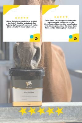 Thumbnail 5: Equanis MuscleActive - Muskelaufbau Pferd