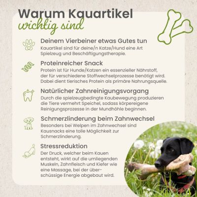Thumbnail 6: kauartikel.com Enten-Würfel - Hunde-Kauartikel - Hunde-Snack - Trainings-Kausnack - Leckerli von der Ente