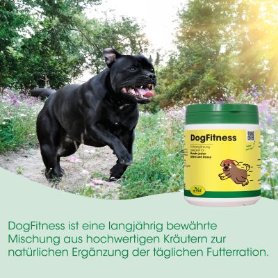 Thumbnail 3: cdVet DogFitness 600 g – Natürliche Futterergänzung für aktive Hunde