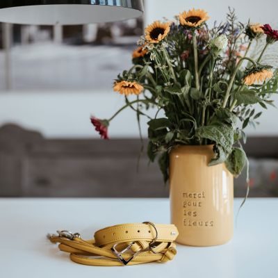 Thumbnail 10: HUNTER Halsband Amalfi M (55), gelb