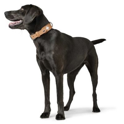 Thumbnail 5: HUNTER Halsband Swiss S-M (47), natur/beige