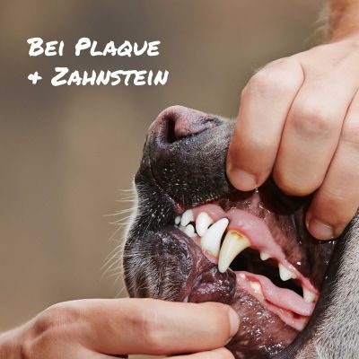 Thumbnail 3: Sollis Gebissglanz Dentalspray für Hunde 100 ml