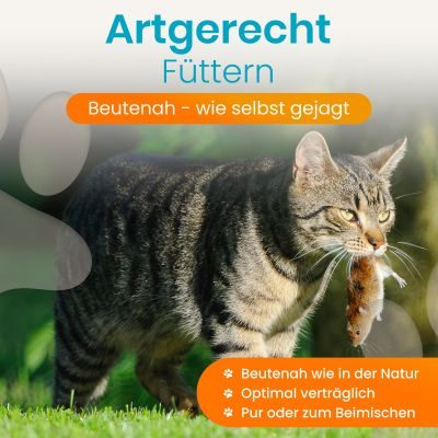 Thumbnail 8: Lucky-Kitty Probier die Maus: Katzenfutter Maus Pur (10x100g) + Napf GRATIS