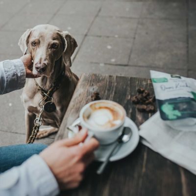 Thumbnail 3: HUNTER Dressurhalsung Solid Education L-XL, oliv