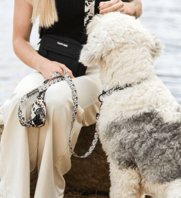 Thumbnail 3: Fluffy Dog Hundeleine „Coffee“ – vegan, leicht & komfortabel mit D-Ring für Kotbeutel