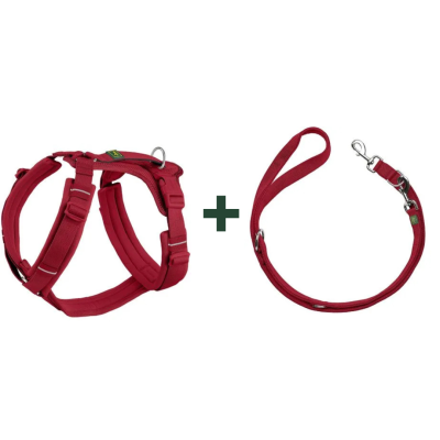 HUNTER MALDON UP Limited Edition Set Geschirr & Leine | XS-S  , 20 | kirschrot