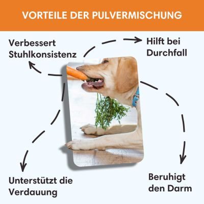 Thumbnail 8: Sollis Moroscher Held - optimierte Rezeptur