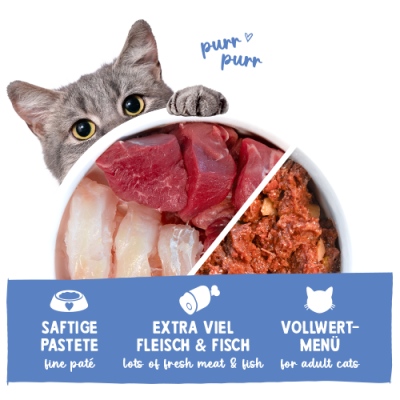 Thumbnail 4: Sanabelle Sanabelle Nassfutter mit Forelle & Rind für Katze – 400g