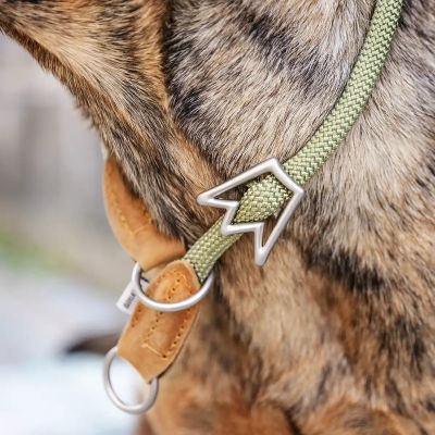 Thumbnail 6: Rudelkönig Hundehalsband Emma, Zugstopp Halsband, Robustes Hunde Halsband