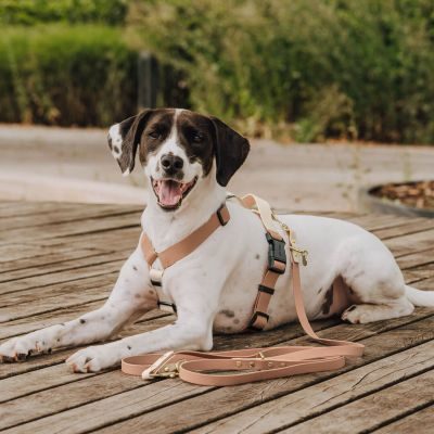 Thumbnail 6: Hey Lana Führleine Outdoor FLEX - 3-fach verstellbar  Mocca / Mousse / 15/230