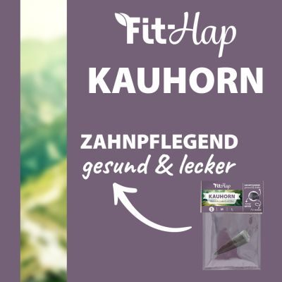 Thumbnail 1: Fit-Hap Kauhorn S – Natürliches Kauspielzeug aus Wasserbüffelhorn für Hunde