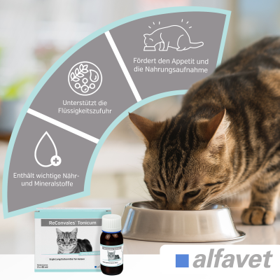Thumbnail 2: alfavet ReConvales Tonicum Katze   3 x 45 ml