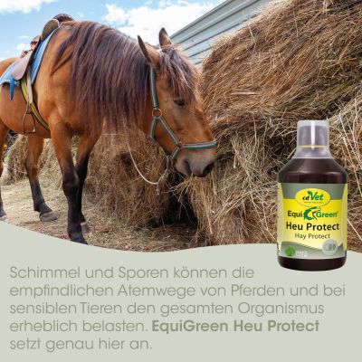Thumbnail 2: cdVet EquiGreen Heu Protect 500 ml – Natürliches Sprühkonzentrat zur Heubehandlung bei Sporenbelastung