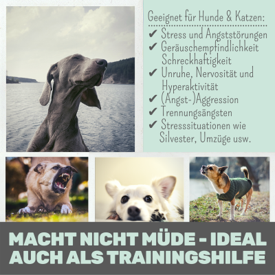 Thumbnail 6: Noms+ Wohlfühlmix für Hunde & Katzen bei Stress, Angst, Unruhe und Hyperaktivität