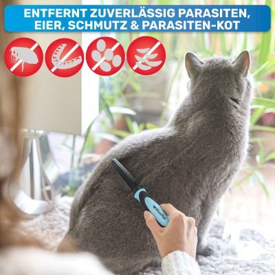 Thumbnail 6: BluePet Flohkamm & Läusekamm für Hunde & Katzen, Flöhe & Zecken effektiv & schonend entfernen - feiner Hundekamm, Staubkamm, Nissenkamm auch gegen Nymphen