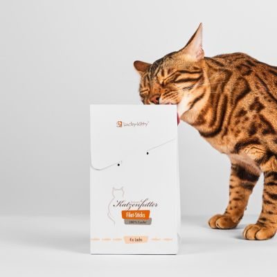 Thumbnail 1: Lucky-Kitty Filet-Sticks Lachs Premium-Qualität 20 x 22g