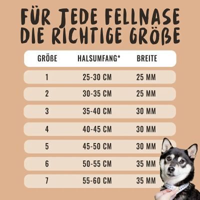 Thumbnail 5: Rudelkönig Hundehalsband Paola reflektierend, Robustes Hunde Halsband