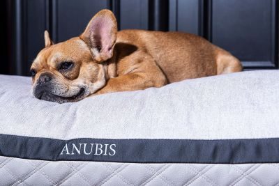 ANUBIS orthopädisches Hundekissen Kitana Beach M