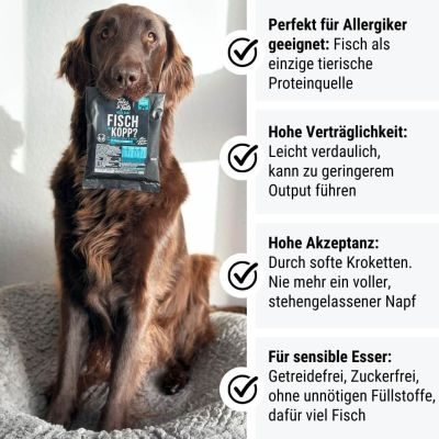 Thumbnail 3: Tales & Tails Noch ganz Fisch im Kopp Softtrockenfutter - Probe 5er Paket