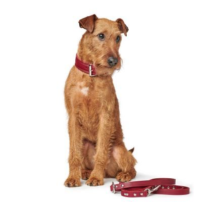 Thumbnail 7: HUNTER Halsband Aalborg Rustica M (55), rot