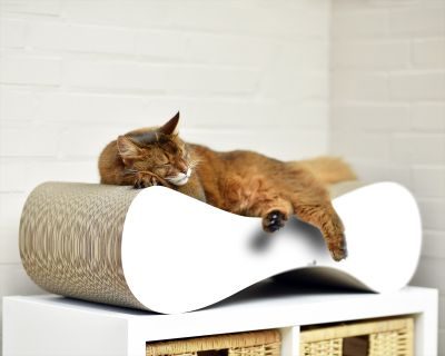 Thumbnail 1: cat-on LE VER L Design Kratzmöbel, weiß gestrichen (000x)