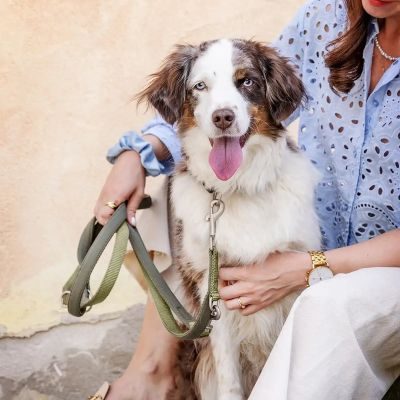 Thumbnail 7: Rudelkönig Hundeleine Gepolsterte Hundeleine Bella, Verstellbare Führleine 2,30m