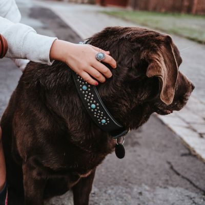 Thumbnail 11: HUNTER Halsband Madona M-L (60), schwarz