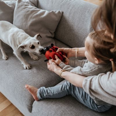 Thumbnail 3: HUNTER Hundespielzeug Florenz, Marienkäfer 20 cm