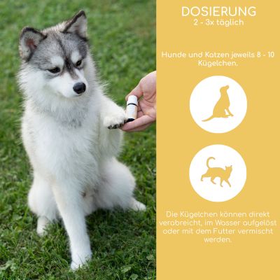 Thumbnail 5: Wolfsbacher Natur Bachblüten Globuli – Angst