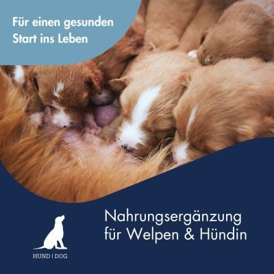 Thumbnail 3: Dr.Clauder´s Welpenmilch+ 450g