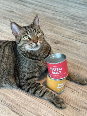 Thumbnail 6: Patsli Katze hat Durchfall? Präbiotische Snacks für gesunde Darmflora